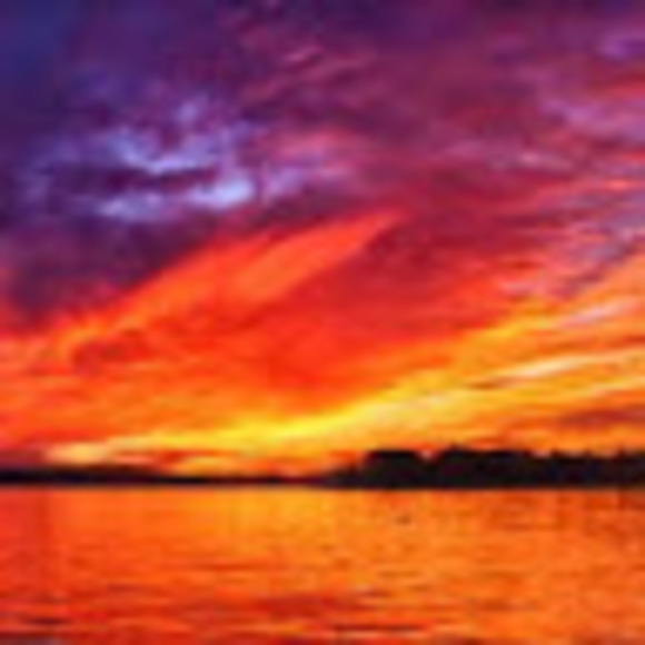 Meet your Posher, Danielle - Picture 1 of 1